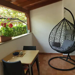 Kiwi , Rovinj Chorwacja